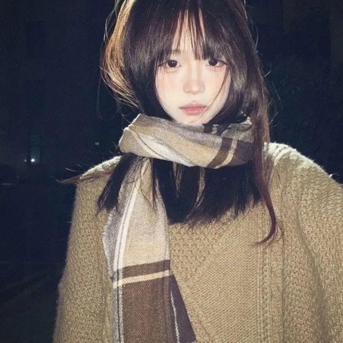 山上的松树